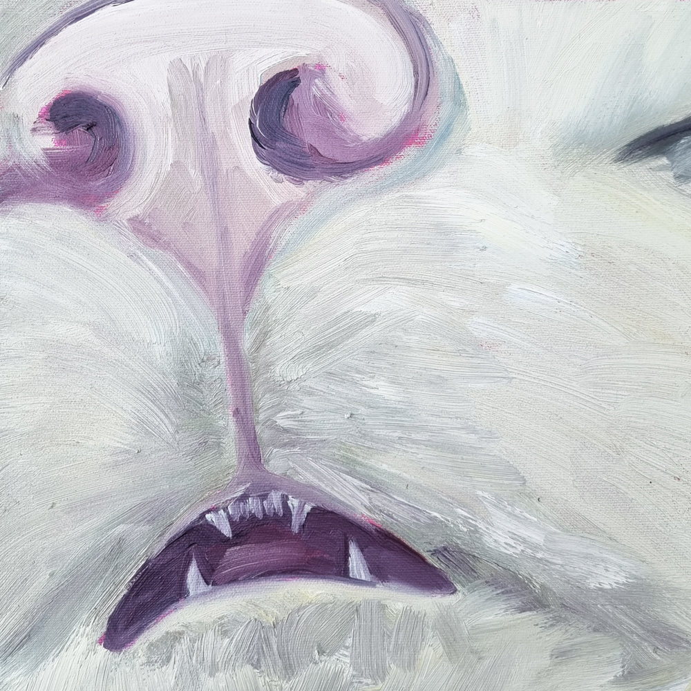 WHITE MEOW