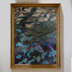 print of ''STUCK IN A FOREST''