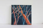 ORANGE TREES