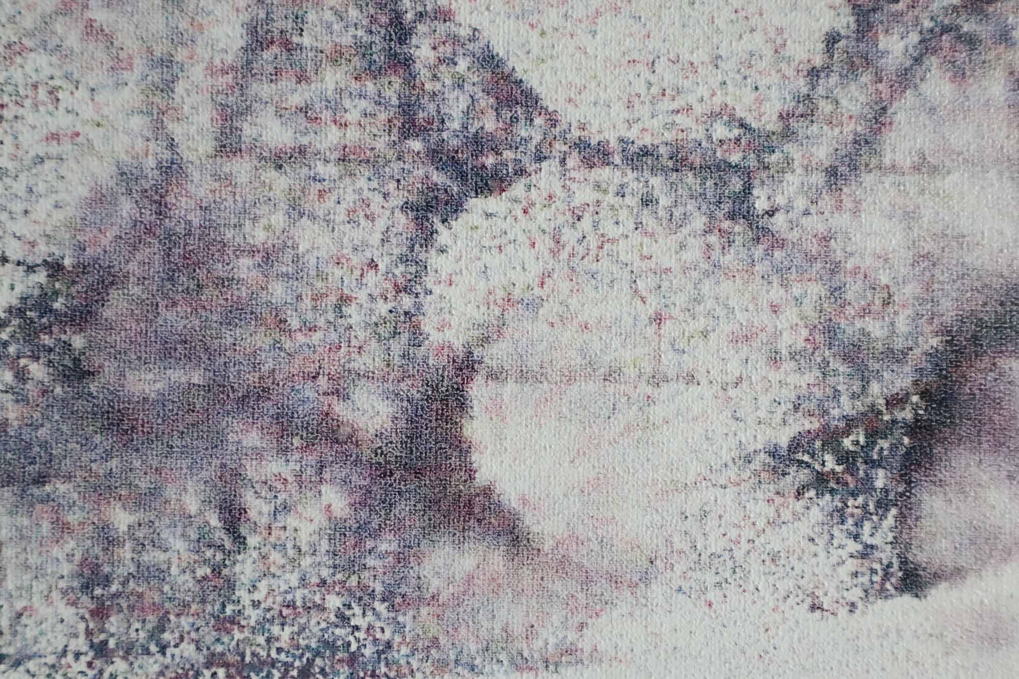 GIRAFFE 3