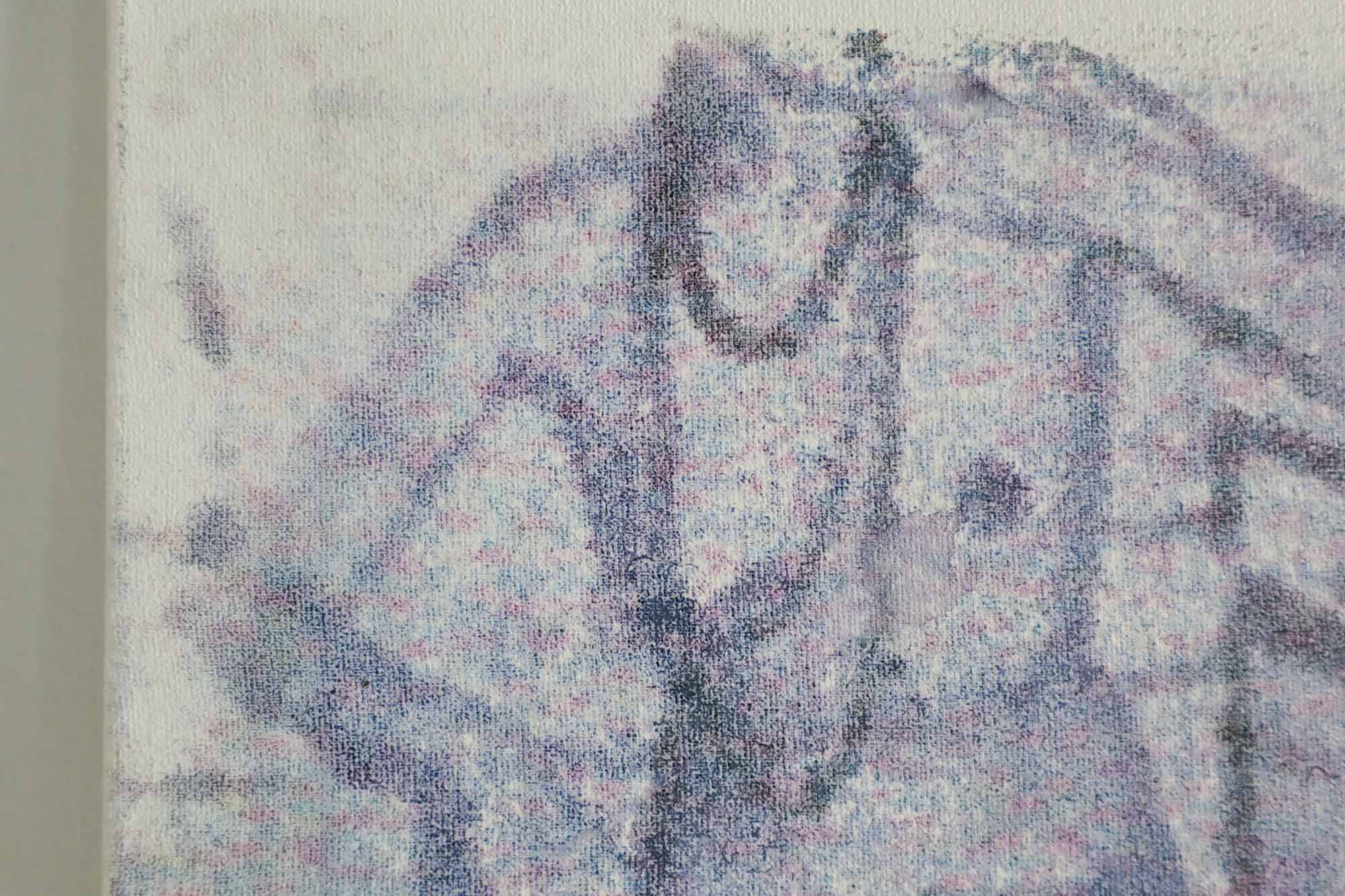 GIRAFFE 4