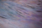 PURPLE CALMNESS