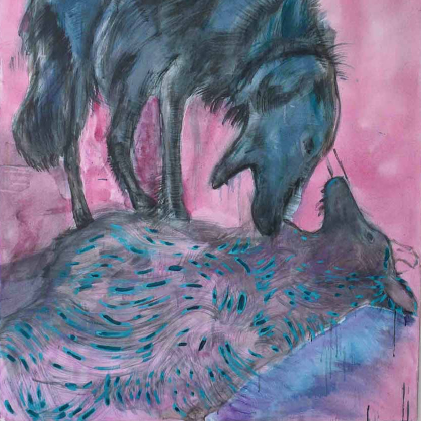 TWO WOLVES